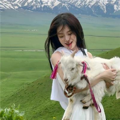 星语心愿之再爱